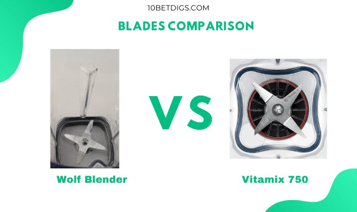Vitamix vs Wolf Blender
